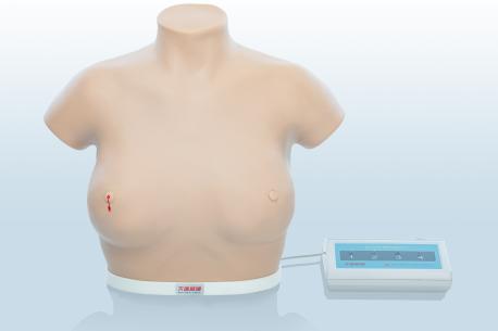 電子乳腺癌觸診、視診訓(xùn)練模型
